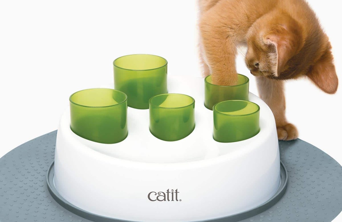 A ginger cat exploring a Catit Senses Digger puzzle feeder